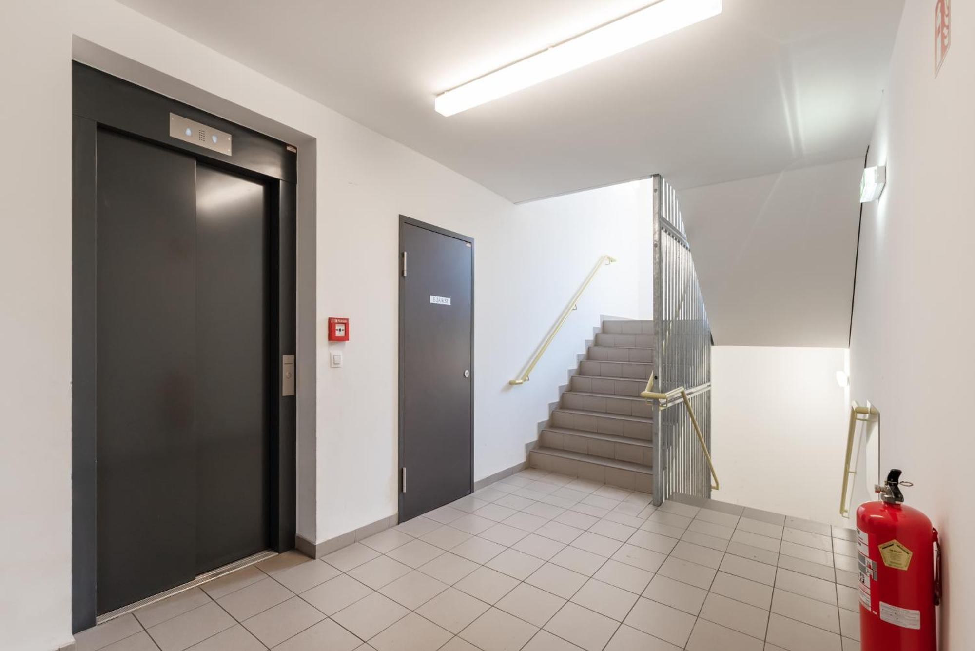 Sweet - 20 Minuten Ins Zentrum Und Garage Wenen
